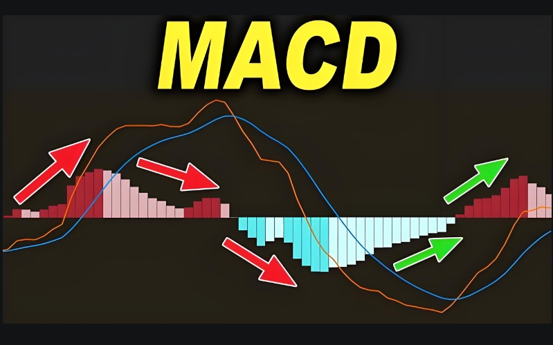 macd基础知识